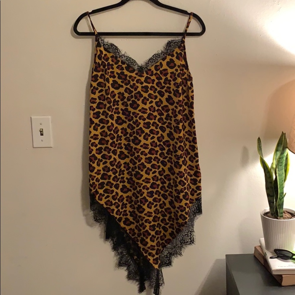 Cheetah slip